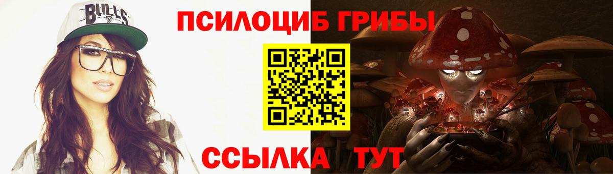 где найти   Вход с VPN  Фролово  Псилоцибиновые грибы Cubensis 